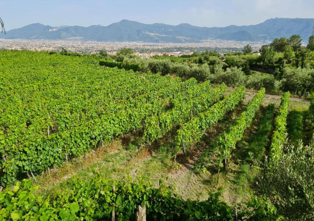 Vesuvio Inn Bed & Wine Experience Boscotrecase 외부 사진
