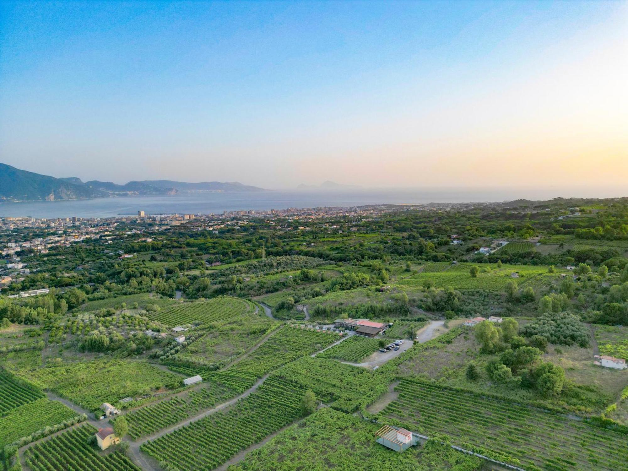 Vesuvio Inn Bed & Wine Experience Boscotrecase 외부 사진