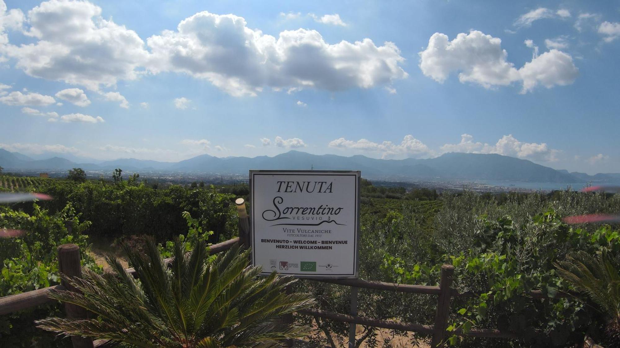 Vesuvio Inn Bed & Wine Experience Boscotrecase 외부 사진