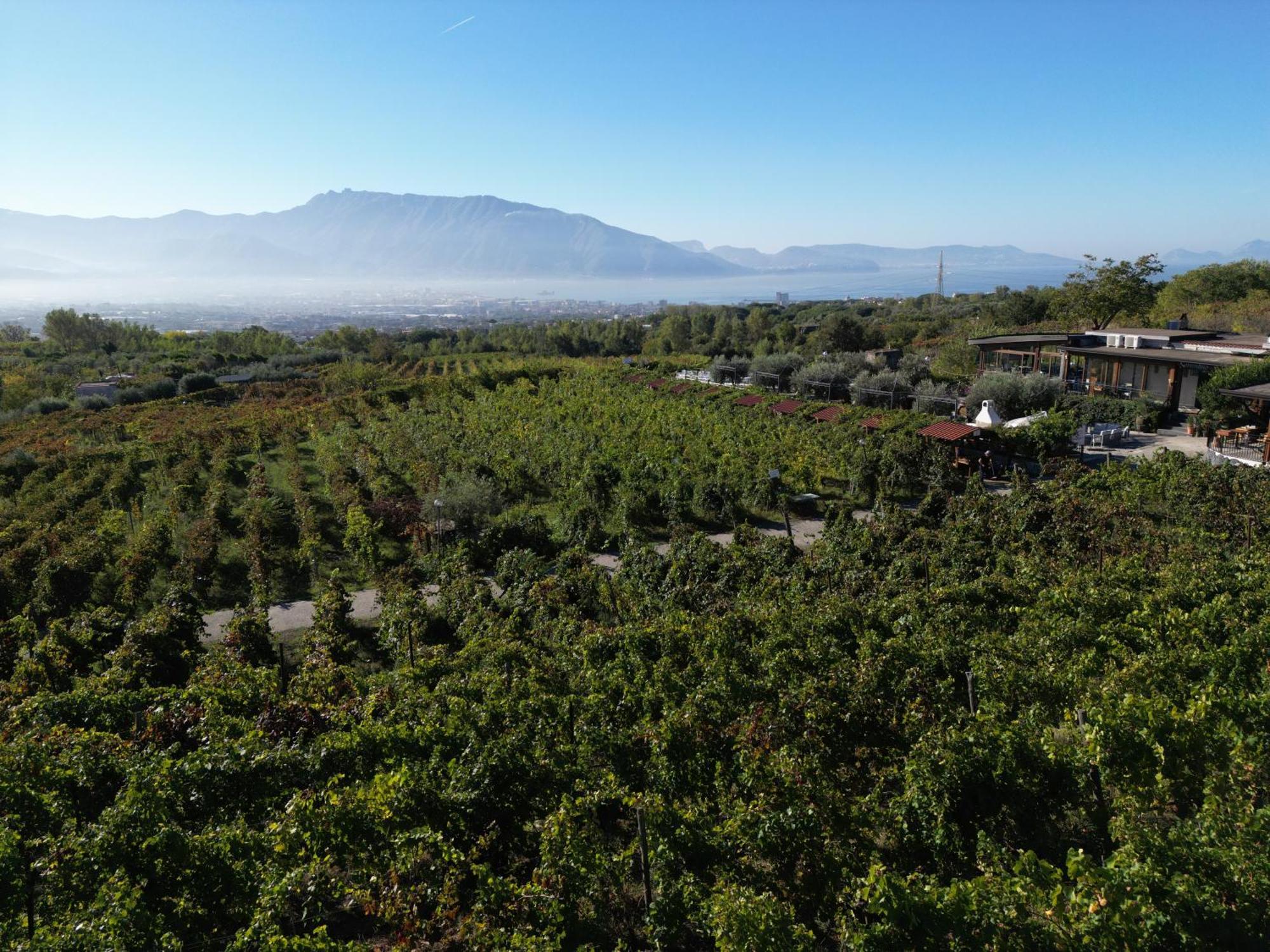 Vesuvio Inn Bed & Wine Experience Boscotrecase 외부 사진