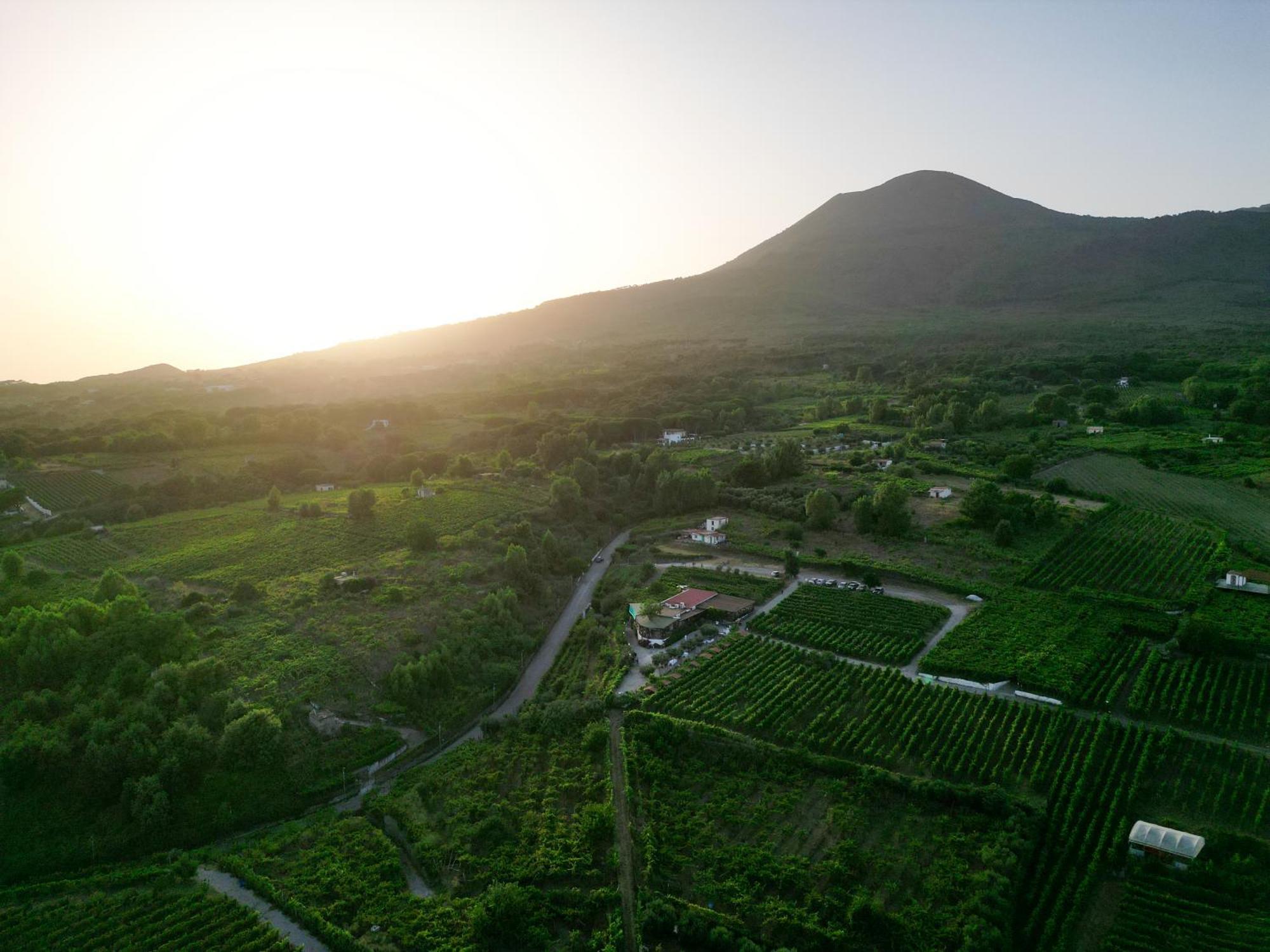 Vesuvio Inn Bed & Wine Experience Boscotrecase 외부 사진