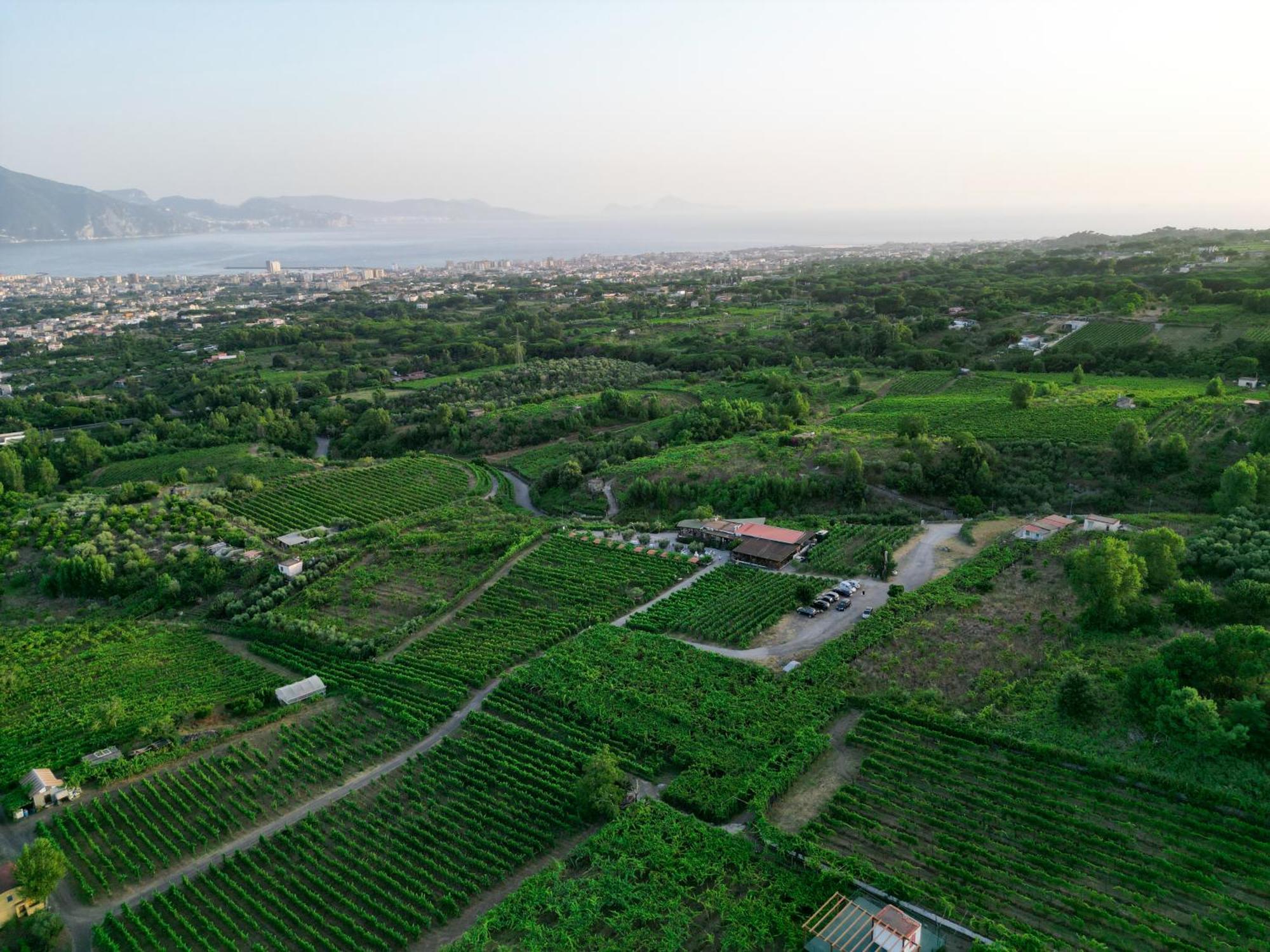 Vesuvio Inn Bed & Wine Experience Boscotrecase 외부 사진