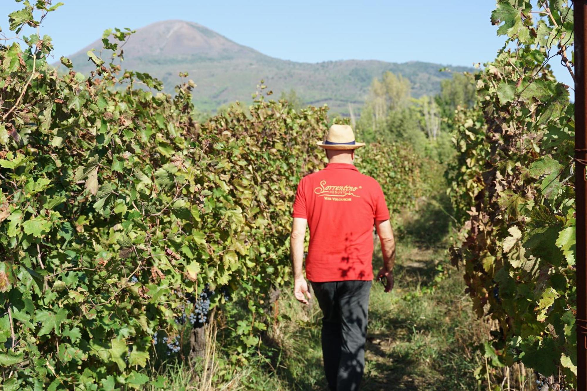 Vesuvio Inn Bed & Wine Experience Boscotrecase 외부 사진