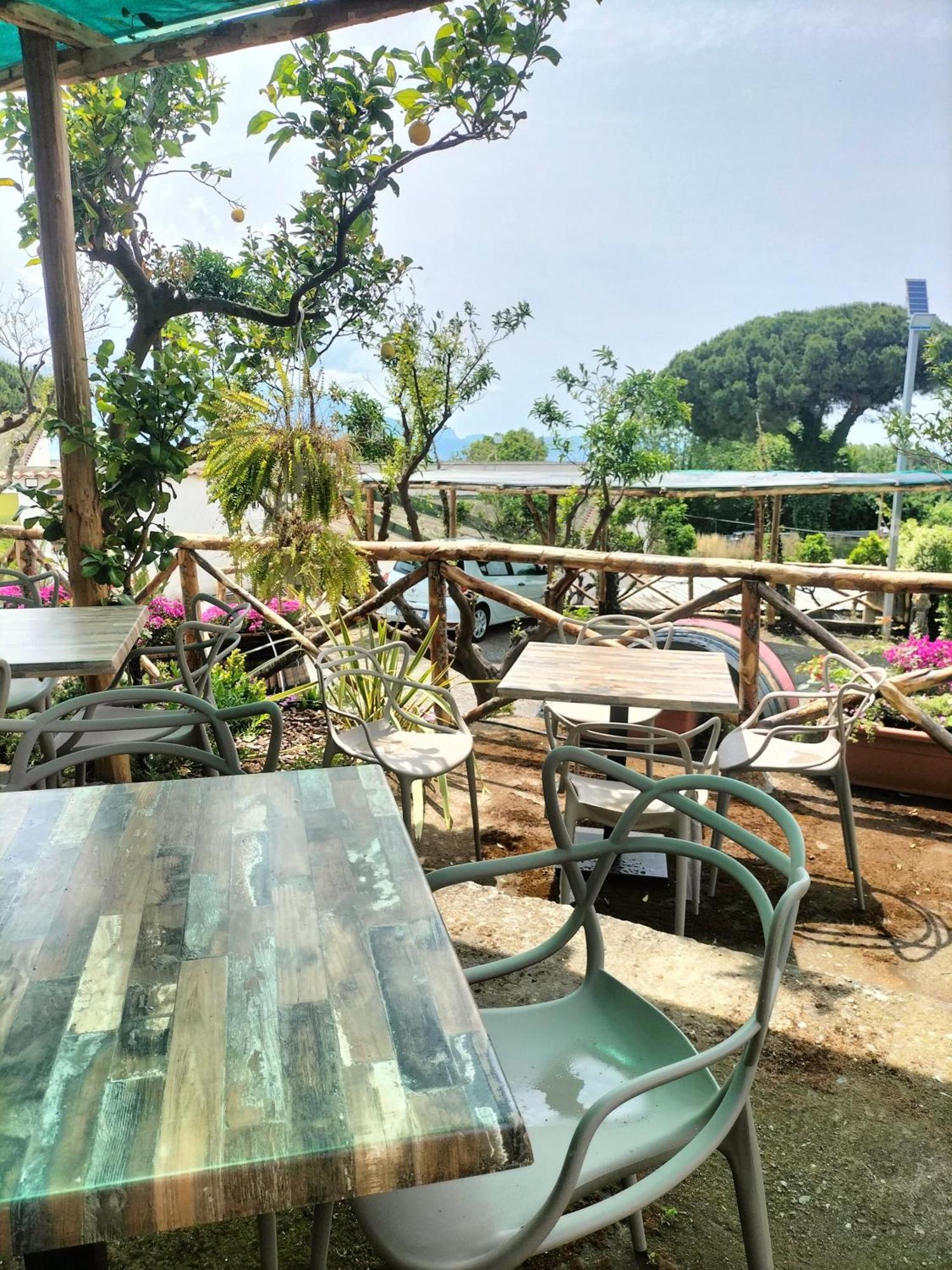 Vesuvio Inn Bed & Wine Experience Boscotrecase 외부 사진