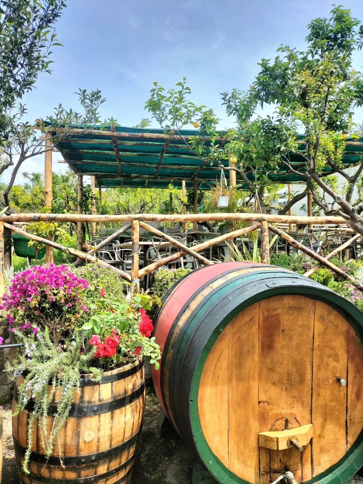 Vesuvio Inn Bed & Wine Experience Boscotrecase 외부 사진