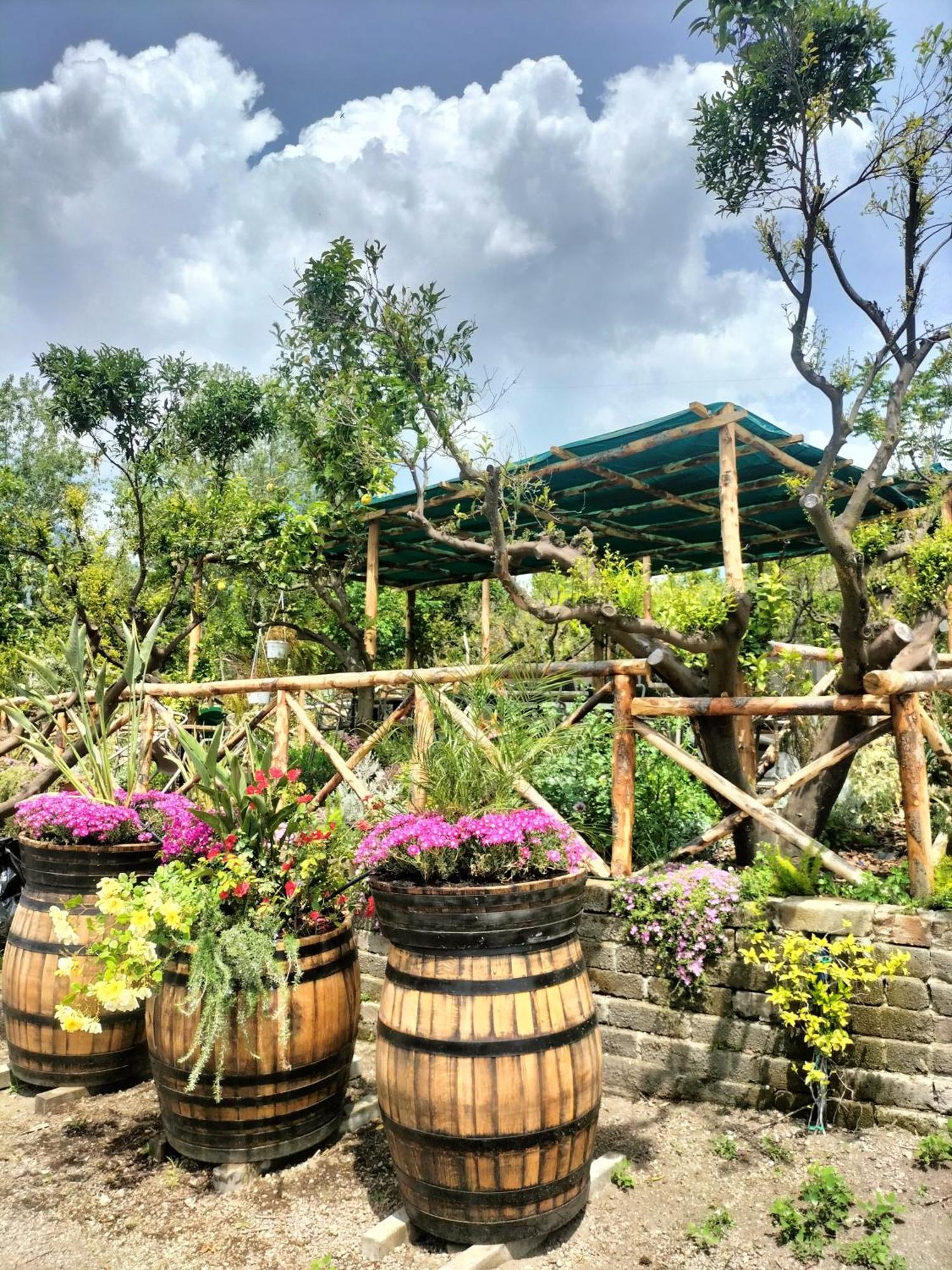 Vesuvio Inn Bed & Wine Experience Boscotrecase 외부 사진